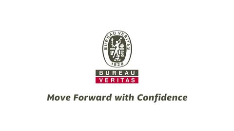 BUREAU VERITAS MOÇAMBIQUE,LDA