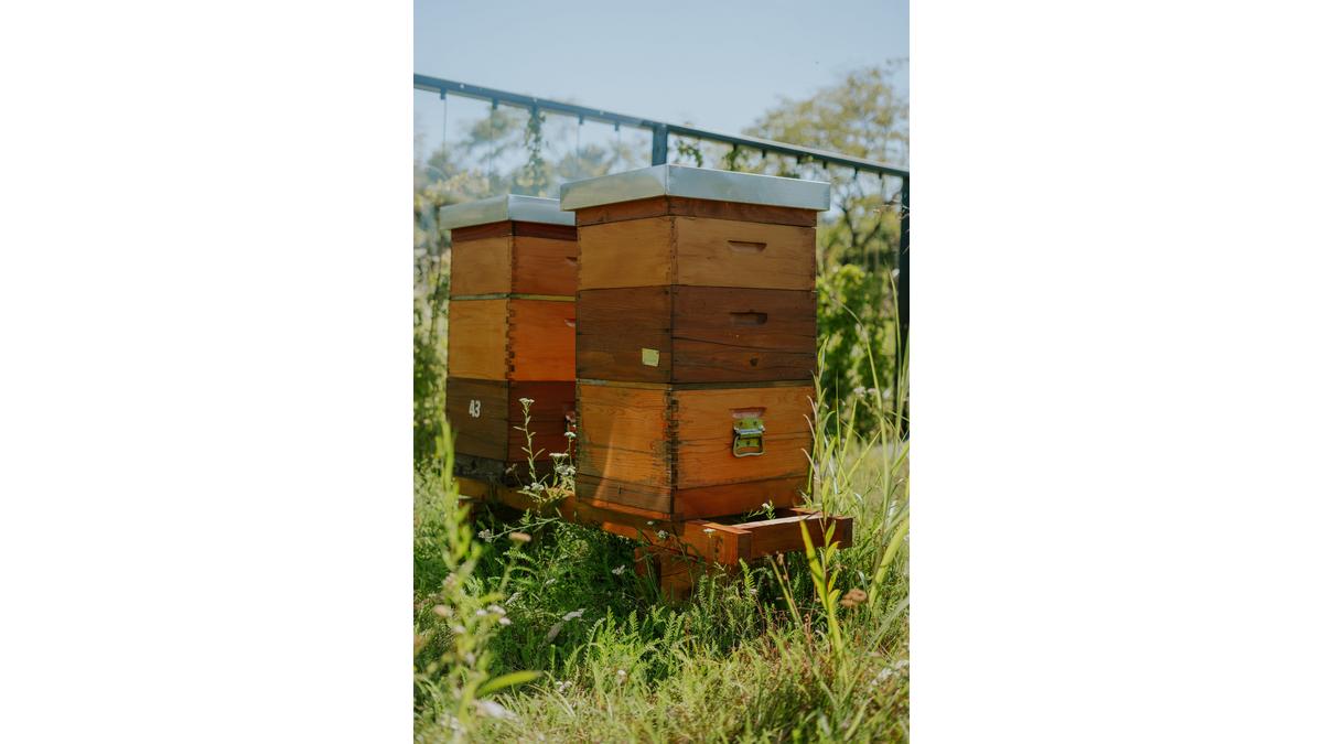 [Translate to Serbe:] 