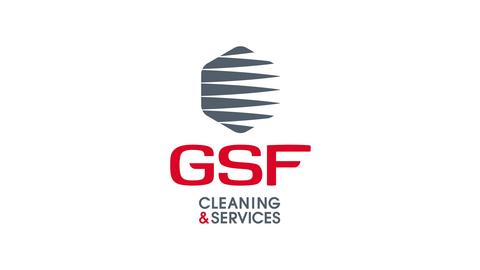 GSF SANDYLIGHT LTD