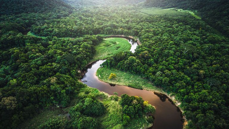 Schneider-Electric-net-zero-French-Chamber-of-Great-Britain