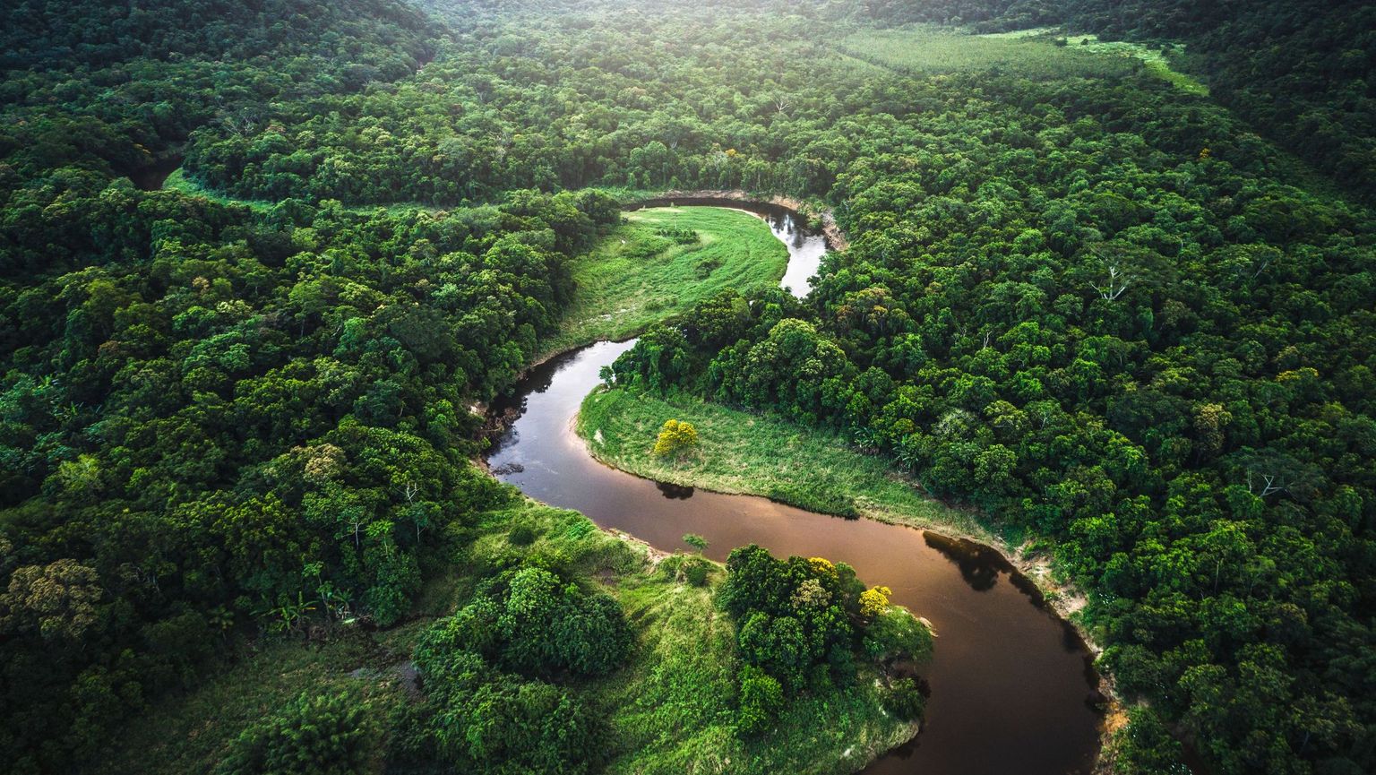 Schneider-Electric-net-zero-French-Chamber-of-Great-Britain