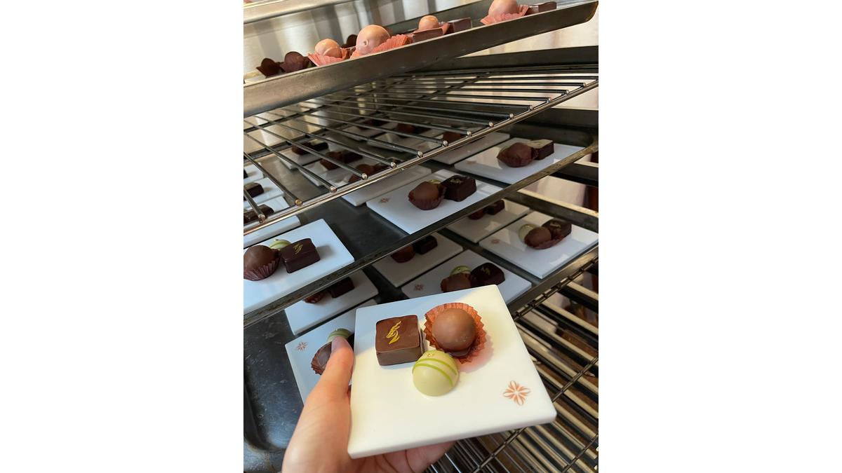 [Translate to Anglais:] 