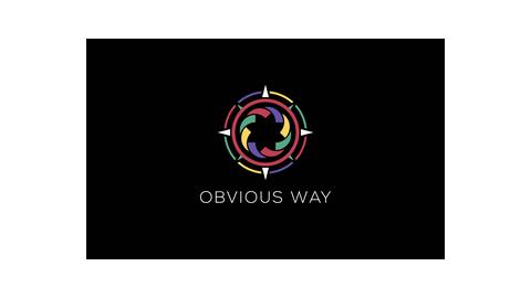 OBVIOUS WAY LTD
