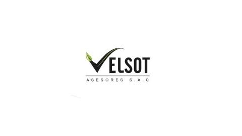 ASESORES VELSOT SAC