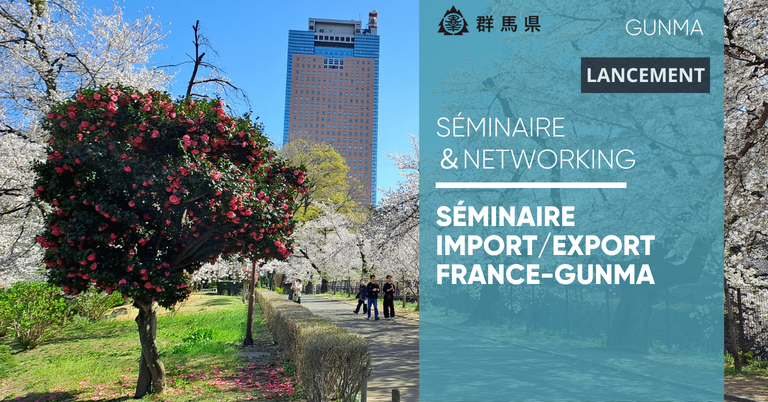 Networking franco-japonais à Gunma