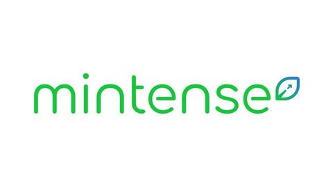 MINTENSE SRL
