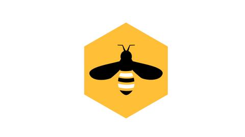 AUTONOMOUS INTELLIGENCE DEVELOPMENT