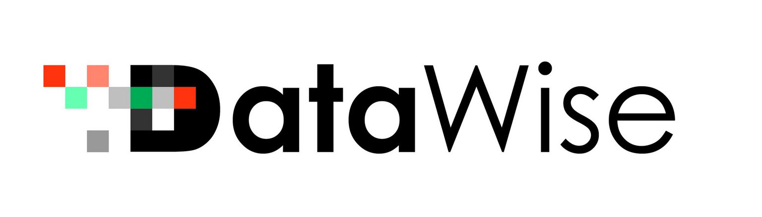 DataWise logo kolor CMYK