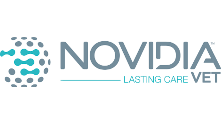 [Translate to Hongrois:] 