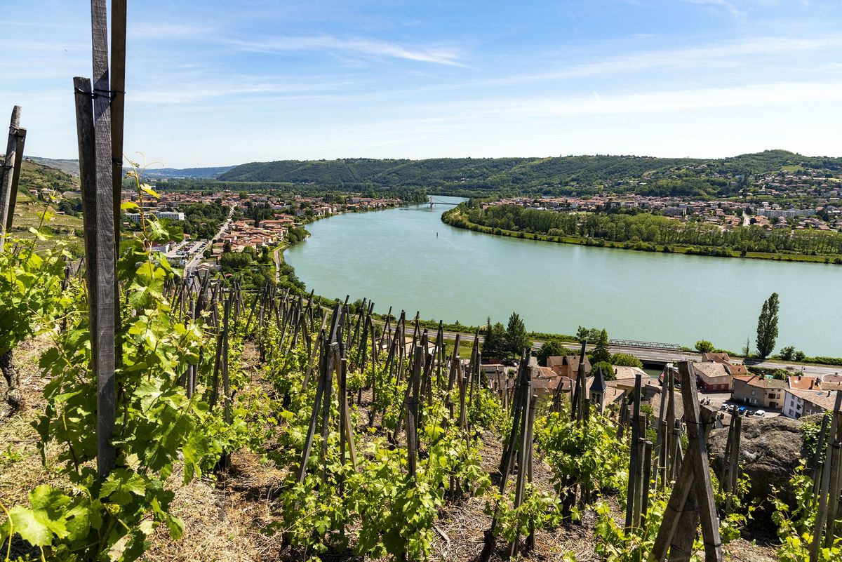 © Michel Peres © Michel Peres