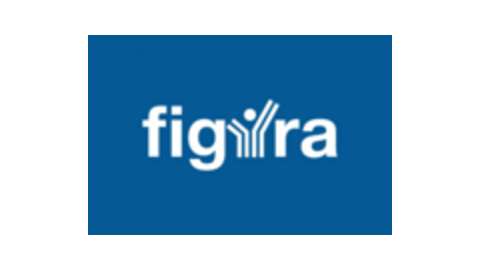 FIGURA IT