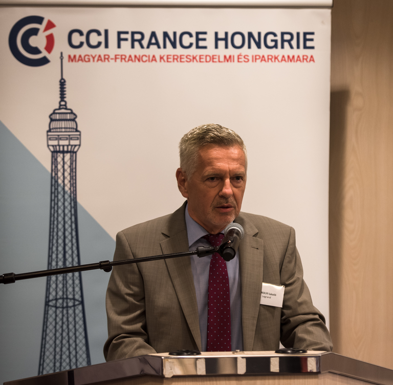 [Translate to Hongrois:] 