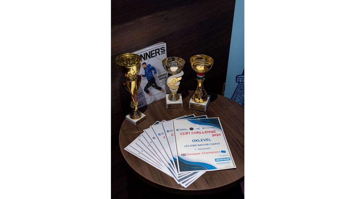 [Translate to Hongrois:] 