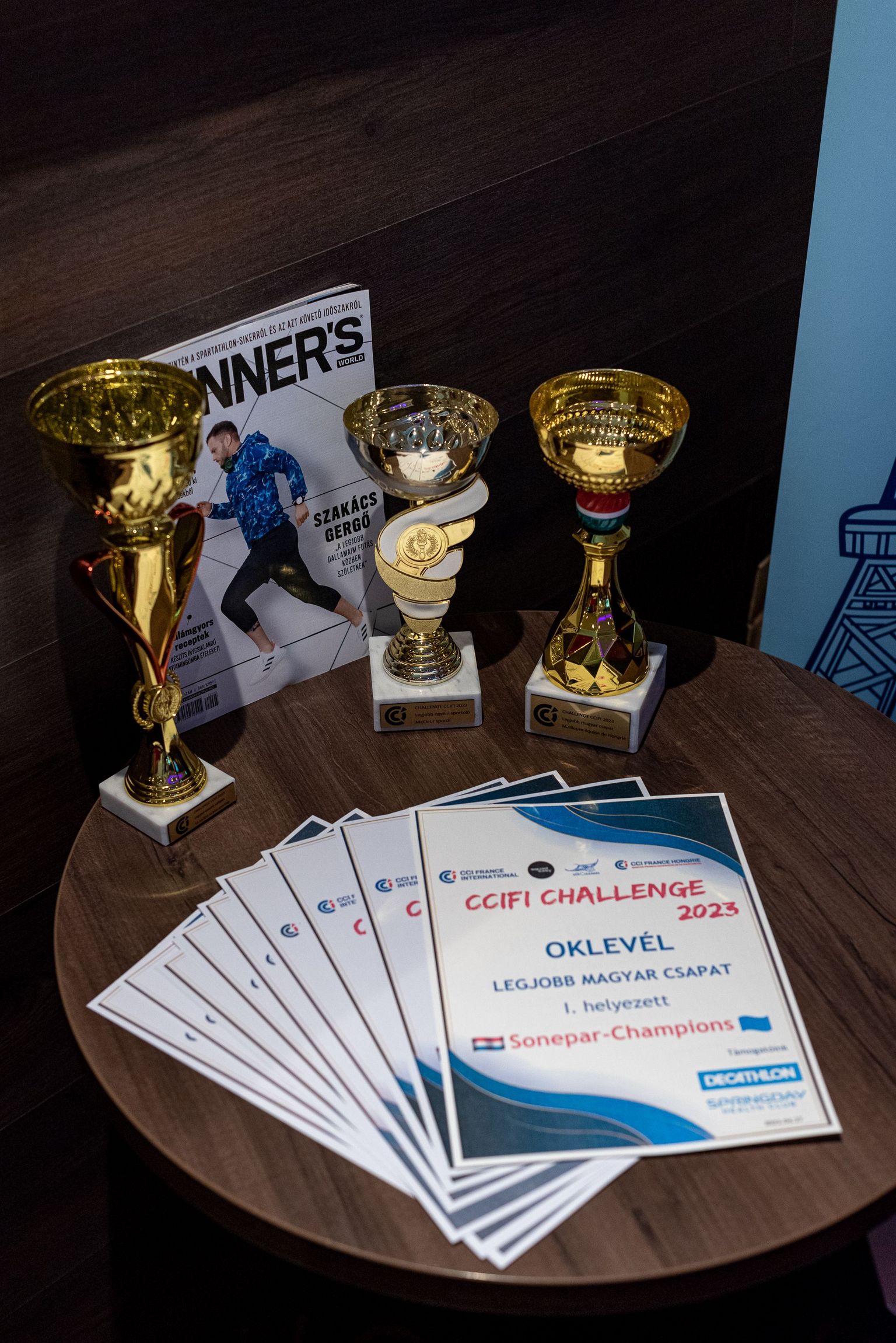 [Translate to Hongrois:] 