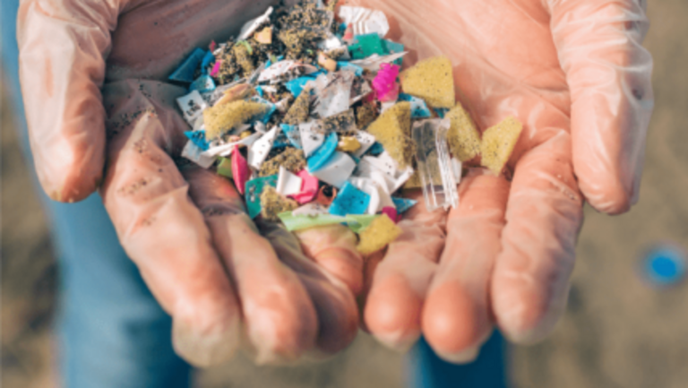 the-seacleaners-COP26