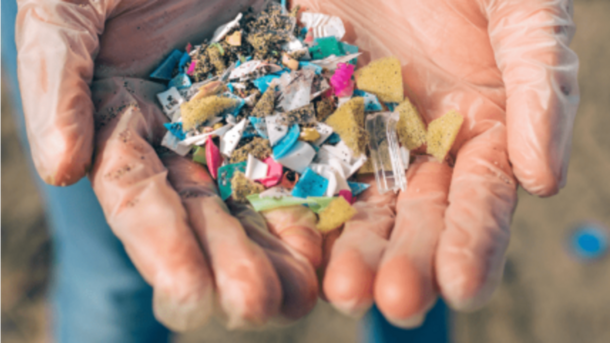 the-seacleaners-COP26