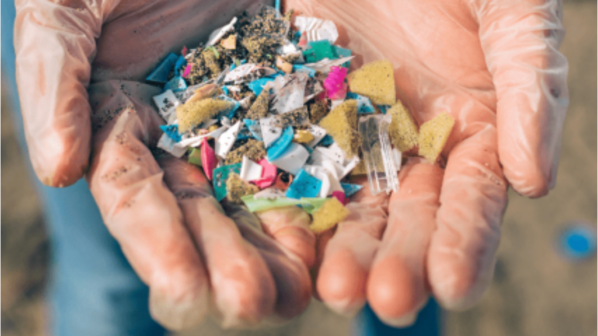 the-seacleeaners-conference-cop26-supported-by-french-chamber-of-great-britain