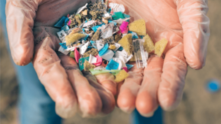 the-seacleeaners-conference-cop26-supported-by-french-chamber-of-great-britain