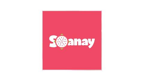 SOANAY SARL
