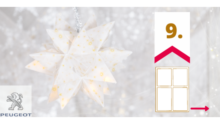 [Translate to Hongrois:] 