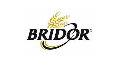 BRIDOR 