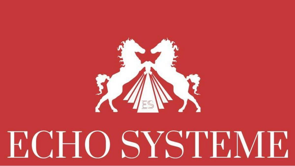 Echo Systeme Agency, retail excellence etiquette