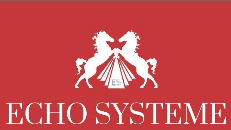 Echo Systeme Agency, retail excellence etiquette