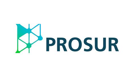 PROSUR CONSULTORIA LTDA