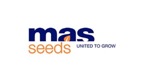 MAS SEEDS UKRAINE