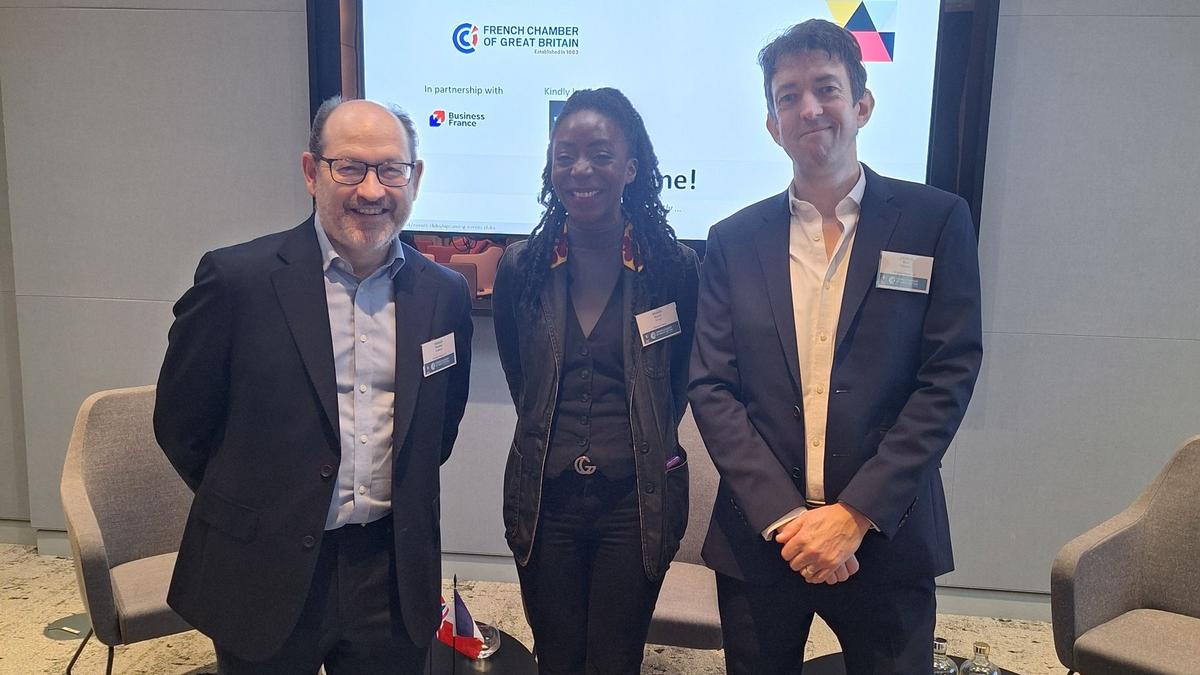 VIE (Volontariat International en Entreprise) Program: Global Opportunities and Legal Considerations