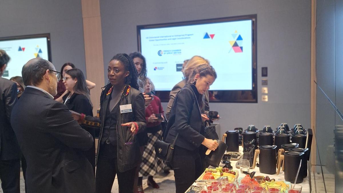 VIE (Volontariat International en Entreprise) Program: Global Opportunities and Legal Considerations