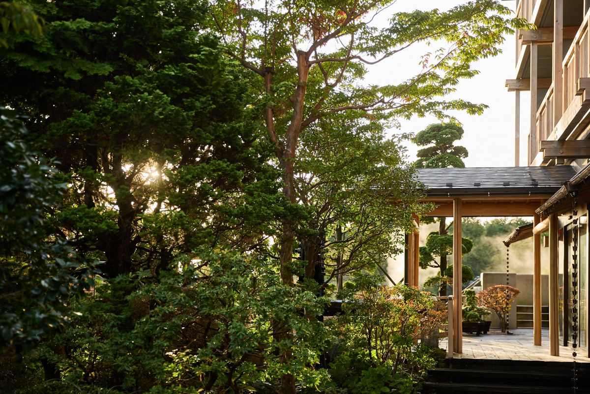 Madoka no Mori à Gōra, Hakone : Une proposition de séjour durable qui éveille l’intellect et les sens