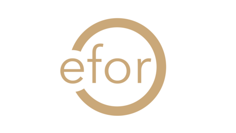 EFOR GROUP SAS