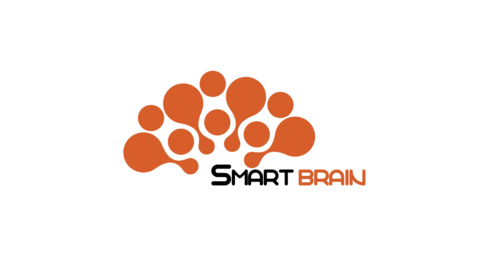 SMART BRAIN