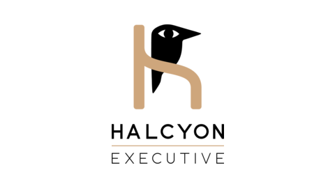 HALCYON NASSAU EXECUTIVE PARTNER SRL