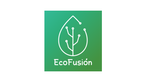ECO FUSION ( ION SARL )