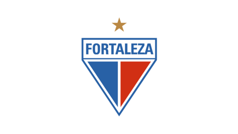 FORTALEZA SRL