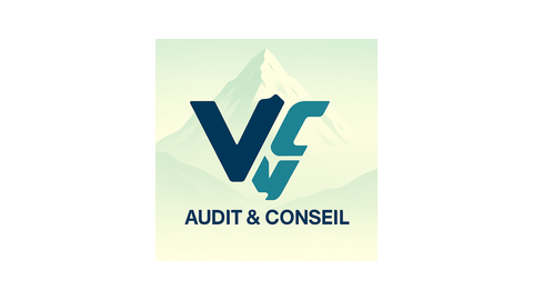 VCY AUDIT & CONSEIL