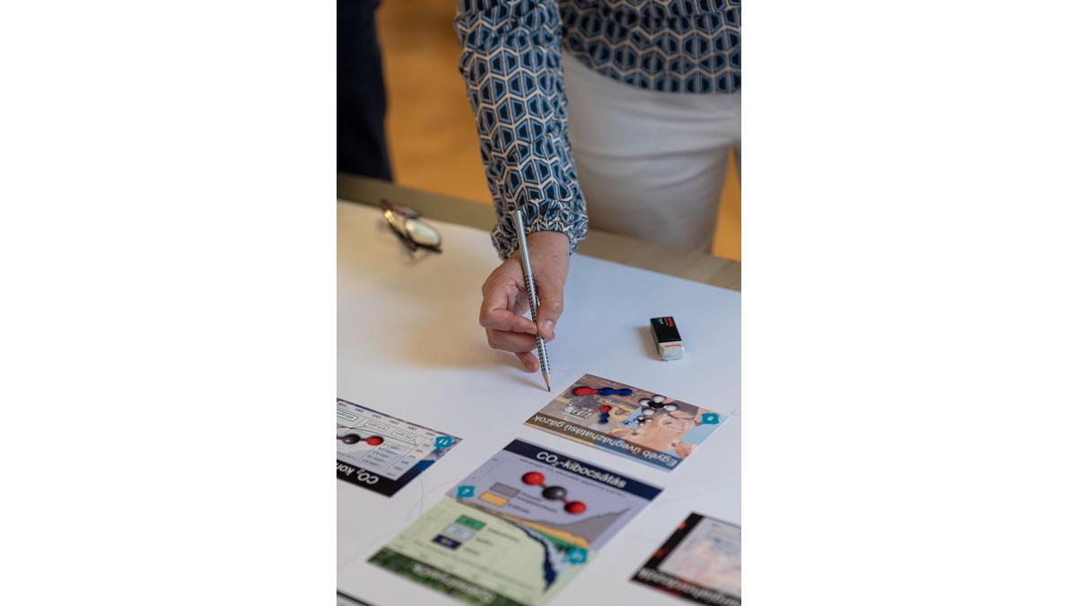 [Translate to Hongrois:] 