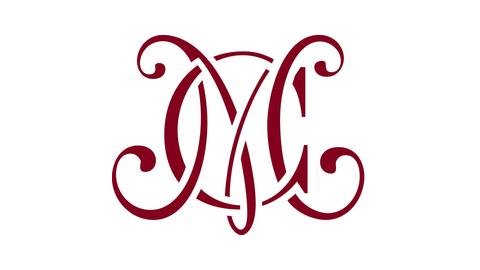 COLLEGIUM MARIANUM - TÝNSKÁ ŠKOLA S.R.O.