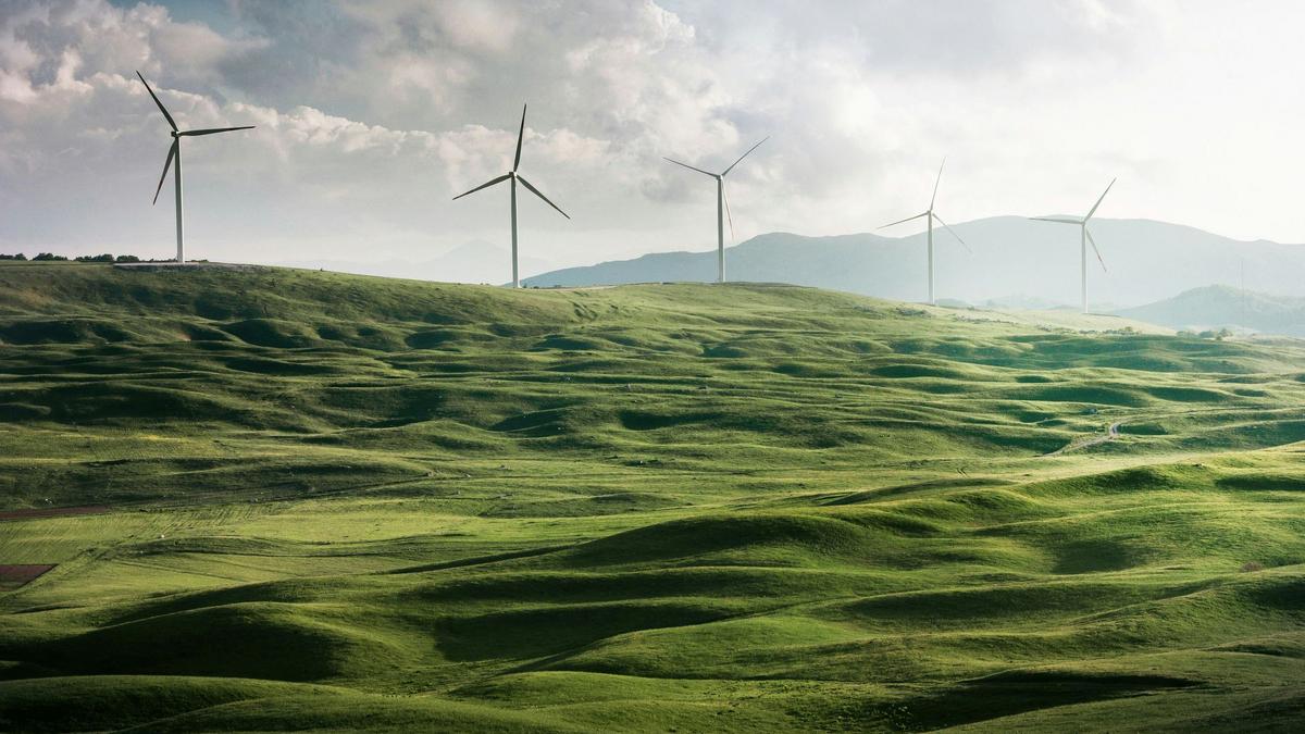 energy-transition-general-elections-insights-French-Chamber-of-Great-Britain