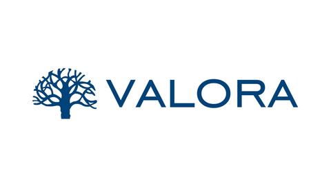 VALORA CONSULTORES