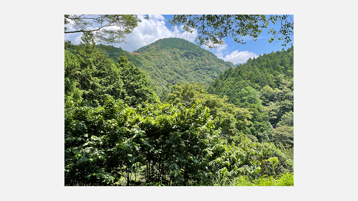 Yamakita Sustainability Centre : new site for the « Institut d’Economie et de Stratégie Franco-Japonais »