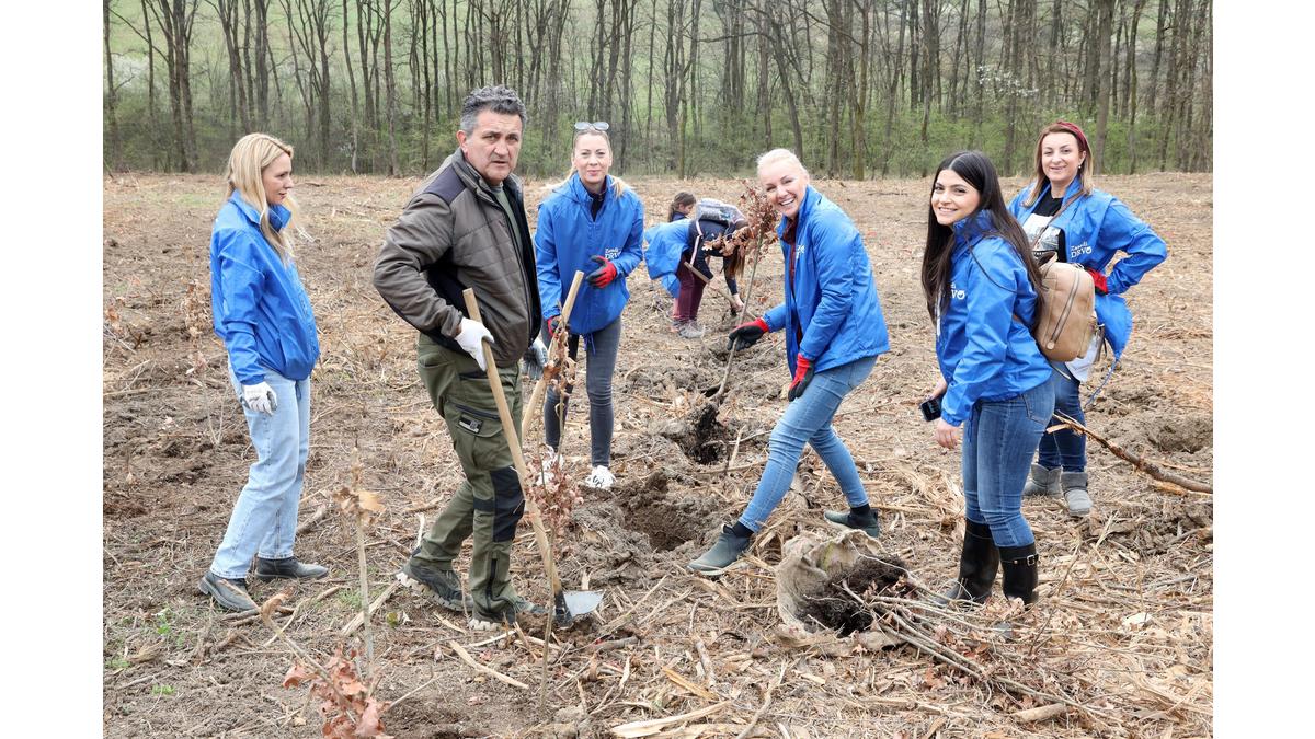 [Translate to Serbe:] 