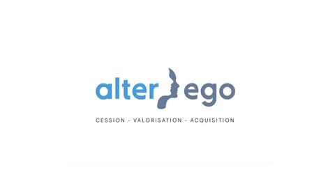 ERWIN & CO BUSINESS AID LTD - ALTER EGO