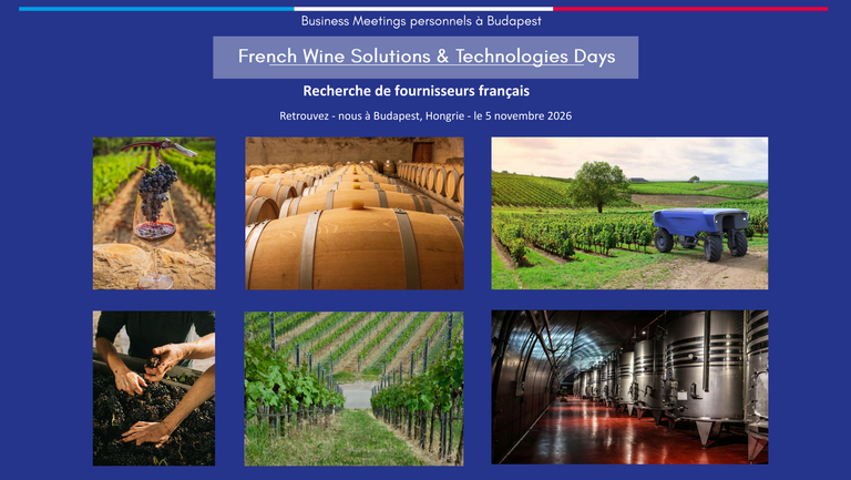 [Translate to Hungarian:] 