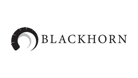 BLACKHORN WEALTH MANAGEMENT LIMITED