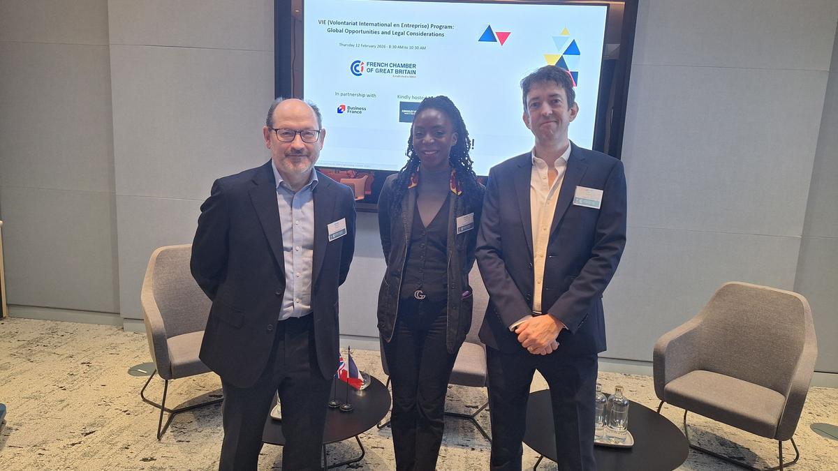 VIE (Volontariat International en Entreprise) Program: Global Opportunities and Legal Considerations