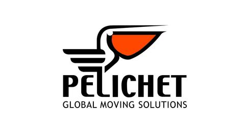 PELICHET NLC SA