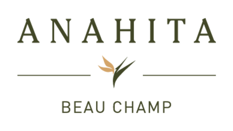 ANAHITA BEAU CHAMP LTD